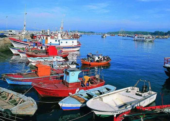 Playa Rons דירה *